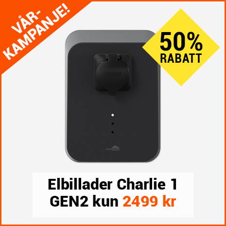 Elbillader Charlie 1