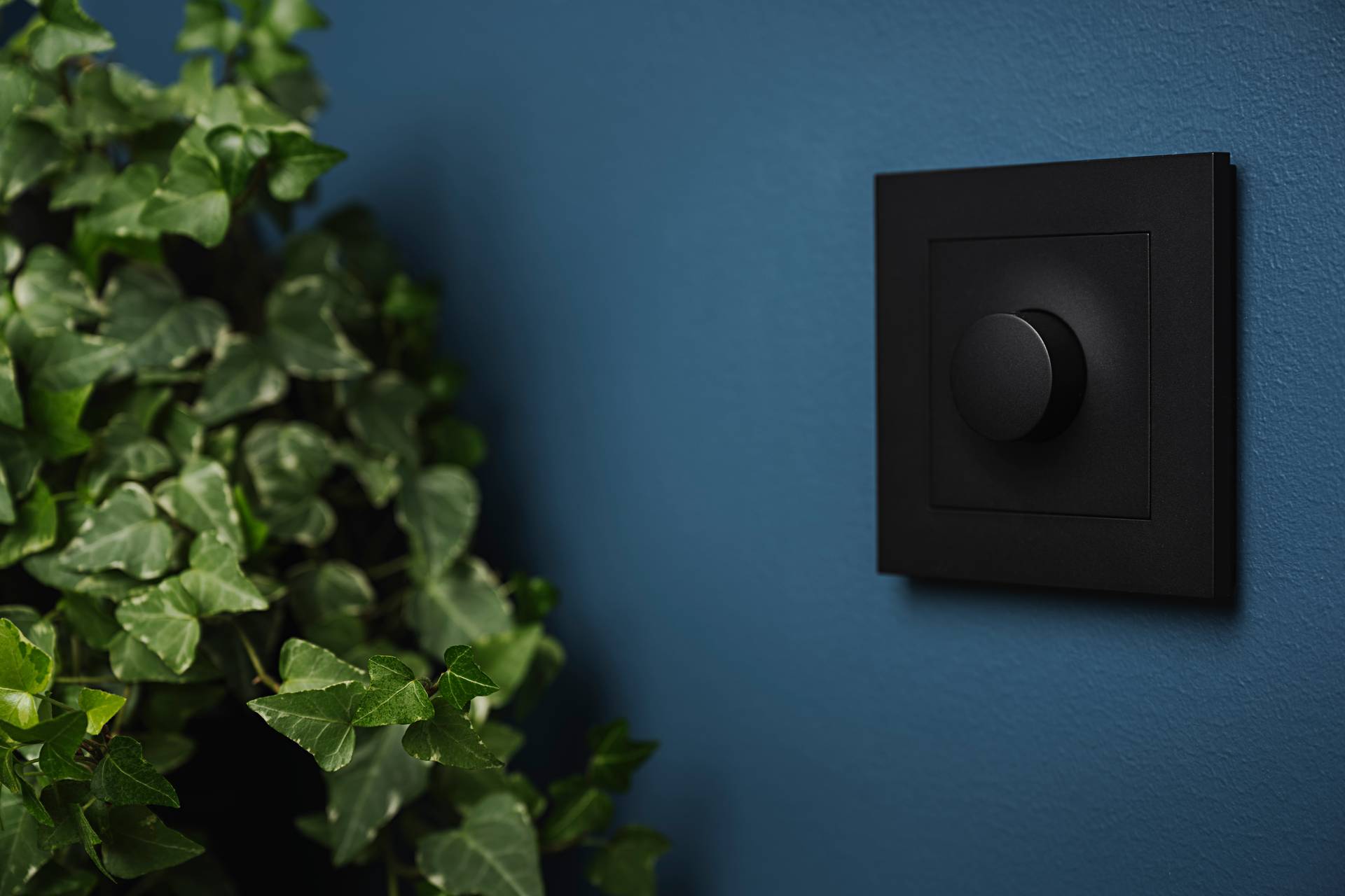 Svart Dimmer