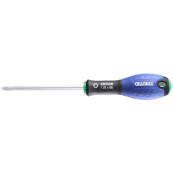 Expert Torxtrekker T20X100 Expert Torxtrekker T20X100